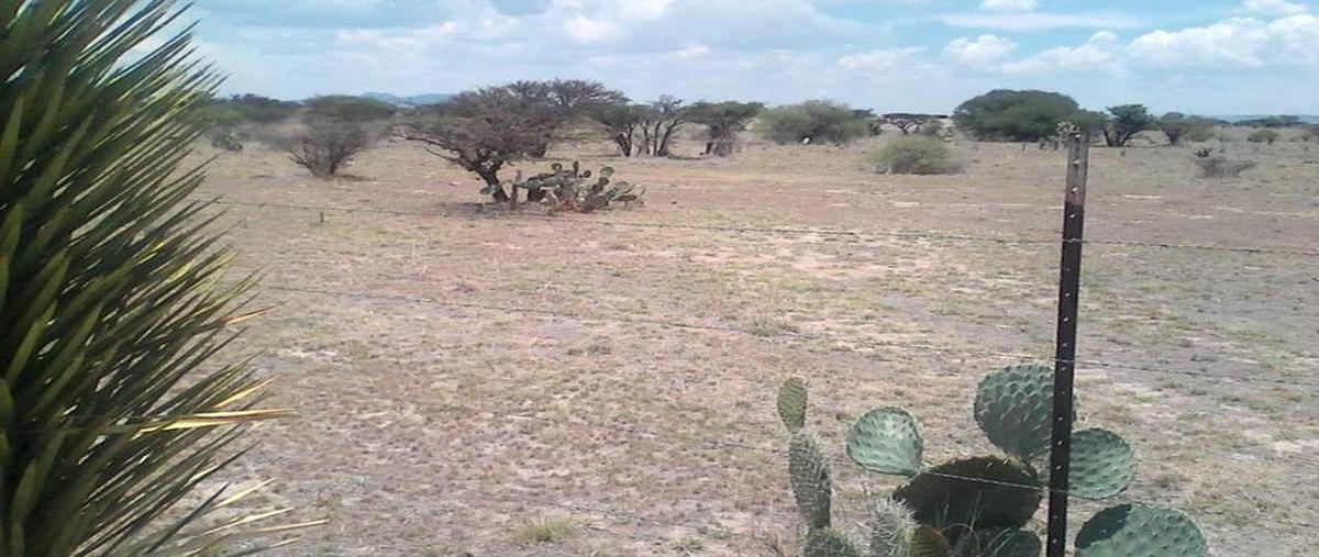 Foto de terreno habitacional en venta en  , el llano [cereso], el llano, aguascalientes, 0 No. 03